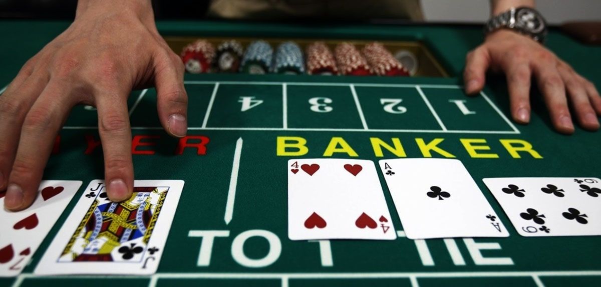 Royal Rabbit Casino Live Casino